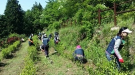 진해구 덕산동, 으뜸마을 만들기 운동 추진