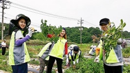 일손 드는 대학생 농촌사랑