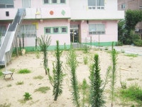 옛 의령어린이집 방치 눈살