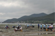 남수중, 갯벌 쏙잡이 체험활동 펼쳐