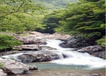 자연ㆍ문화 어우러진 양산 피서지