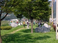 산청 시천면 새마을회, 자연정화 활동