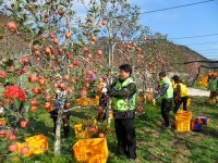 양산농협, 농촌 일손돕기 지원