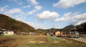 세월 안고 선 고택ㆍ서원 600년 한 뿌리 대변