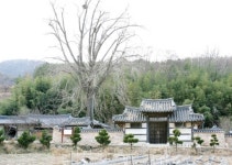 세월 안고 선 고택ㆍ서원 600년 한 뿌리 대변