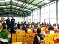 농산물 집하장 새해 초매식