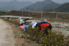마산합포구 덕기마을, 꽃가꾸기 사업