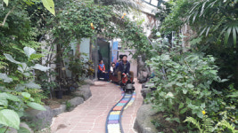 남해 나비생태공원에 나비 없다