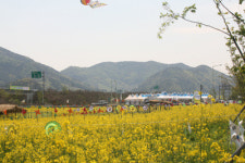창원 진전면, 친환경 농특산물 축제