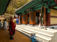 제304회 주자정동영당의 석채례
