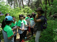 숲 해설가와 함께 행복한 숲길 걷기