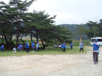 위천면 바르게살기협, 정화활동