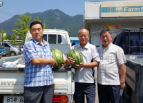 창녕군 향불암, 경로당에 수박 선물