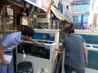 의창구, 수산물 원산지표시 지도ㆍ홍보