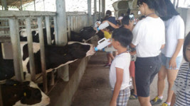 산청 청소년상담센터, 현장체험 운영