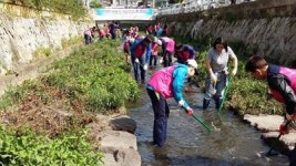 마산회원구M 양덕천 수질개선 수중정화활동
