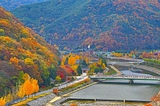 의령충익사 일대 단풍 장관