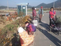 남해군 이동면 문현마을, 꽃길 정비
