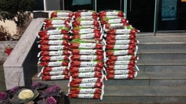 남면 홍현리 무량암, 백미 기탁