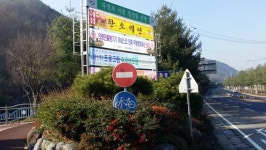 현수막 가리는 조경수 방치
