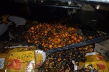 거제 농장창고 불 한라봉 큰 피해