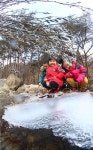 우수 앞두고 고개 내민 버들강아지
