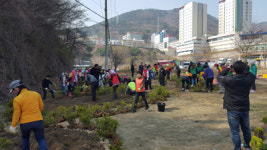 마산회원구 내서읍, 나무심기 행사