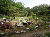 양덕1동 사랑방 쉼터, 야생화 가꾸기