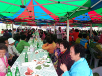의령군 부림면, 한마음 경로잔치