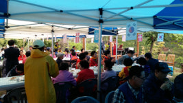 창원 아름다운 추억만들기회, 노인 잔치