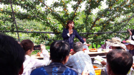 새콤달콤 플럼코트 아세요?