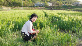 대지(大地)