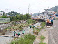남해군 상주면, 추석맞이 하천정화 활동