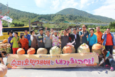 78㎏ 슈퍼호박왕 탄생 눈길