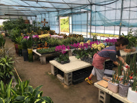 김해 화훼농가 김영란 직격탄