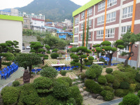 마산중 숨쉬는 생태정원 활짝
