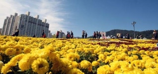 창원 마산합포구, 시내버스-트럭 충돌 3명 다쳐