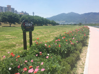 밀양시, 삼문둔치 내 시민화단 조성