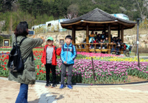 꽃밭 향연 가야테마파크 즐겨요