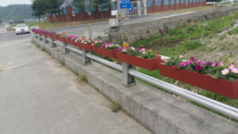 고성군 구만면, 신계마을 꽃다리 조성