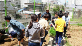 녹색환경, 바른 인성 함양 기대