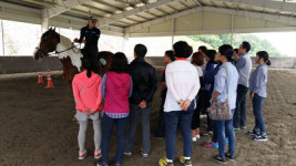 함안군 승마공원, 승마강습 호응