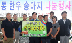 함양군, 고품질 우량 암소 나눔행사