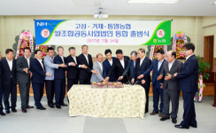 경남 3개 시군 농협쌀법인 통합