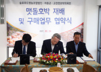 맷돌호박 유통ㆍ판매 활성화