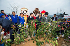 그린경남 지구살리는 나무심기