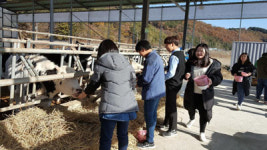고성군, 영천중 1학년 대상 진로체험