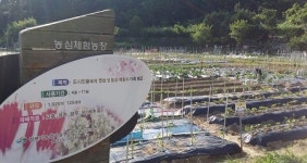 도심속 우리가족의 힐링공간, 주말체험농장 텃밭 분양