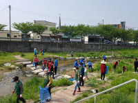 진해구 이동, 신이천 정화 활동