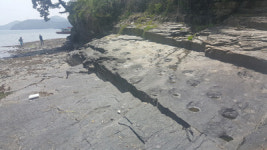 공룡 놀이터서 우리 삶터로… 창원 진동면